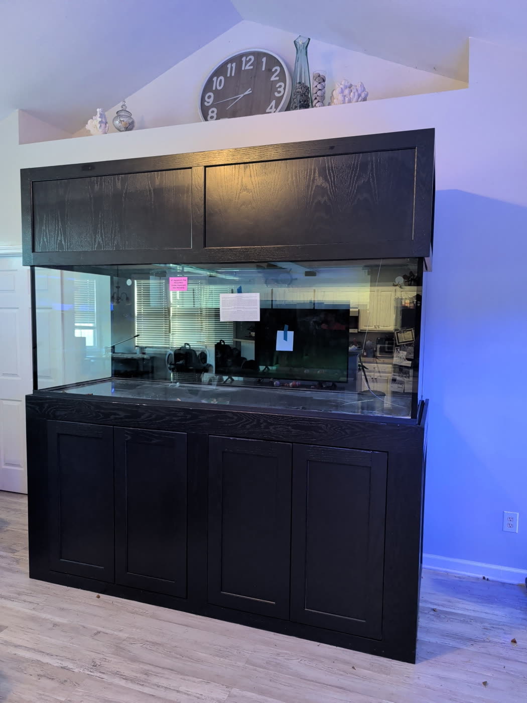 Large aquarium delivered and set up by AM&J